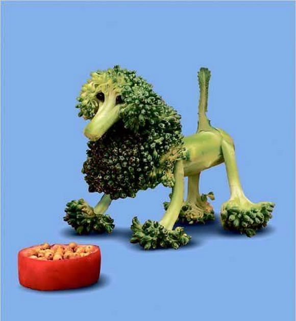 Imagenes Graciosas XD - Página 11 Fun-creations-using-food-76