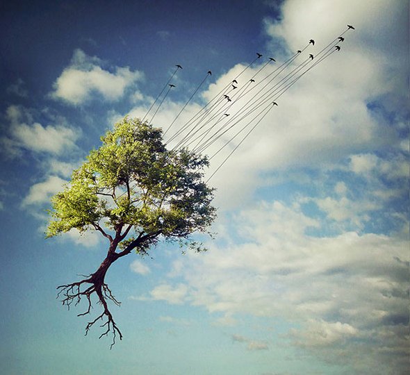 صور لن يستوعبها عقلك Artistic-surreal-photomanipulation-by-sarolta-ban-18