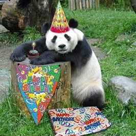 BON ANNIVERSAIRE OPR - Page 2 Chine-panda-bon-anniversaire_1294260740