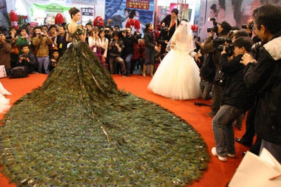 Une robe de mariée décorée de 2009 plumes de paon 20090330_robe_mariee_plumes_paon_03