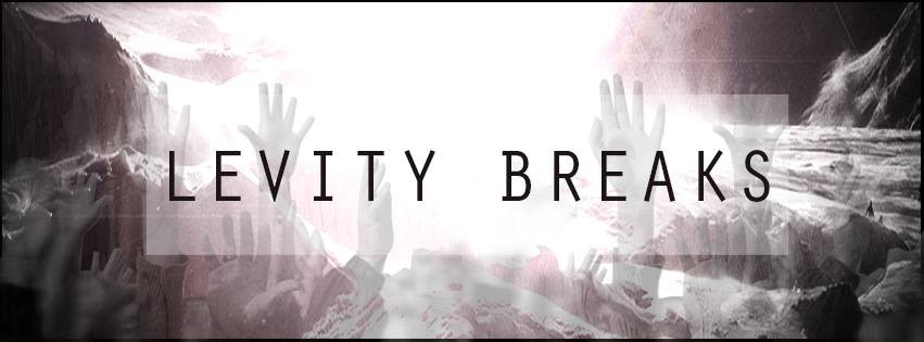 Ireland '86: Levity Breaks - The Floor Levitybreaksbanner