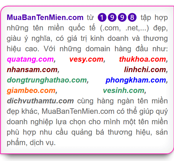 Cho thuê website chuyên nghiệp, tên miền top từ khóa google Tenmiendep-600x556