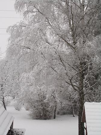 وتسمر الجدة مع الماضي Snow2