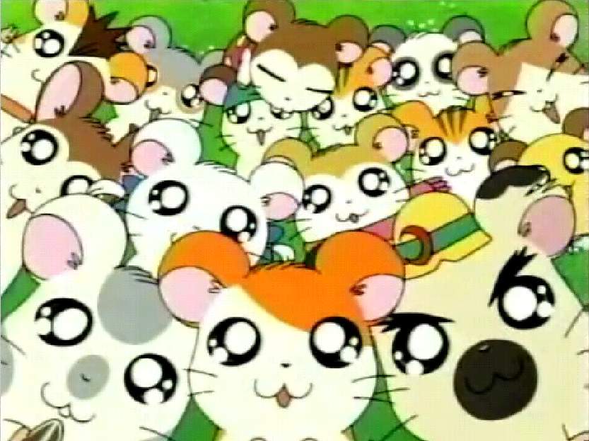 cual es el anime/manga?? - Página 11 Hamtaro%20wallpaper