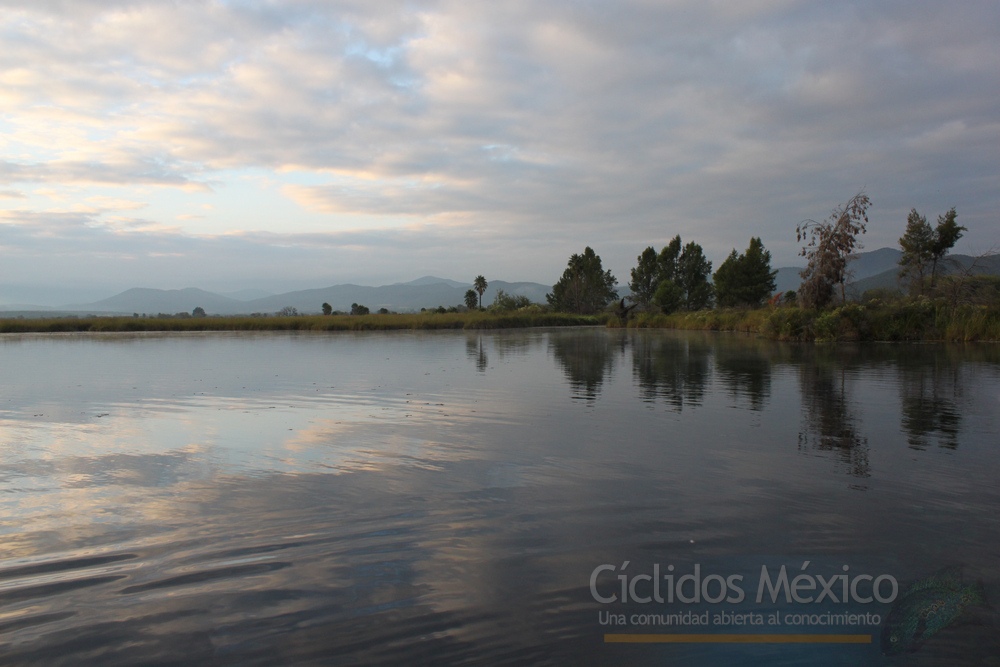La Laguna de la Media Luna, San Luís Potosí IMG_6552
