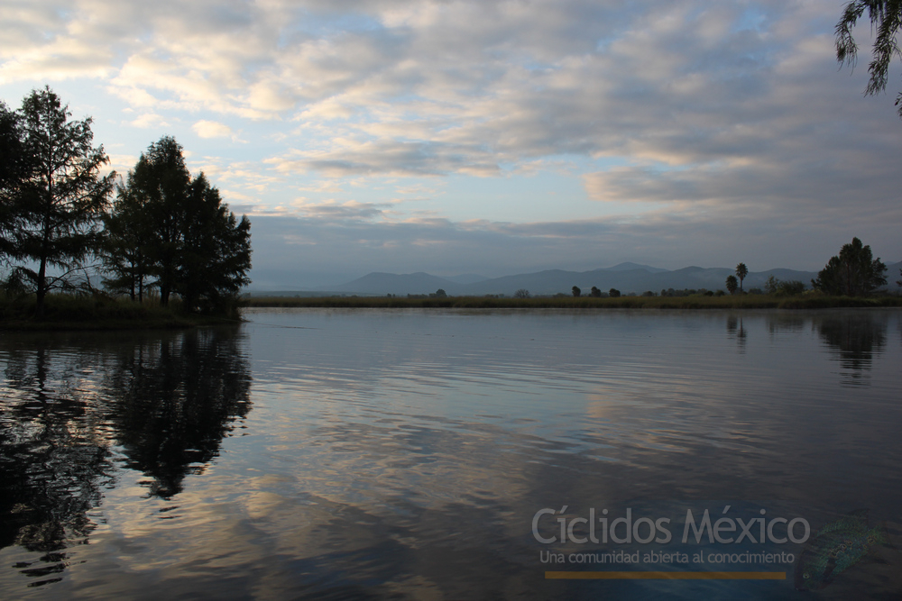 La Laguna de la Media Luna, San Luís Potosí IMG_6557