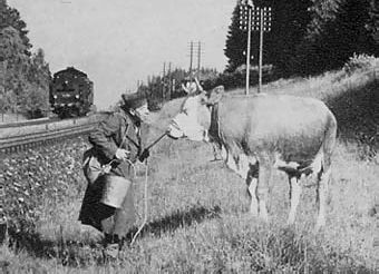 CITROËN Fourgon HY la bétaillère de tonton ... Réf 80768 - Page 2 Vache02