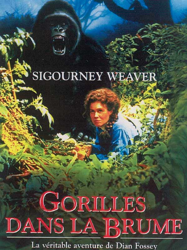 Diane Fossey et les gorilles Gorilles_dans_la_brume-20110106115239