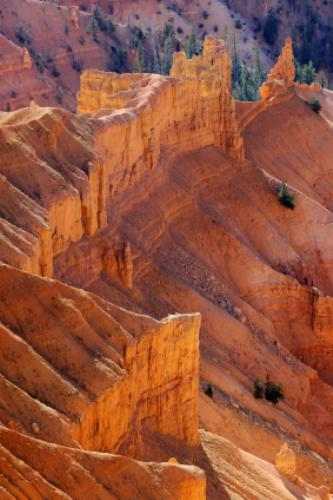 CEDAR BREAKS NATIONAL MONUMENT Img8234869