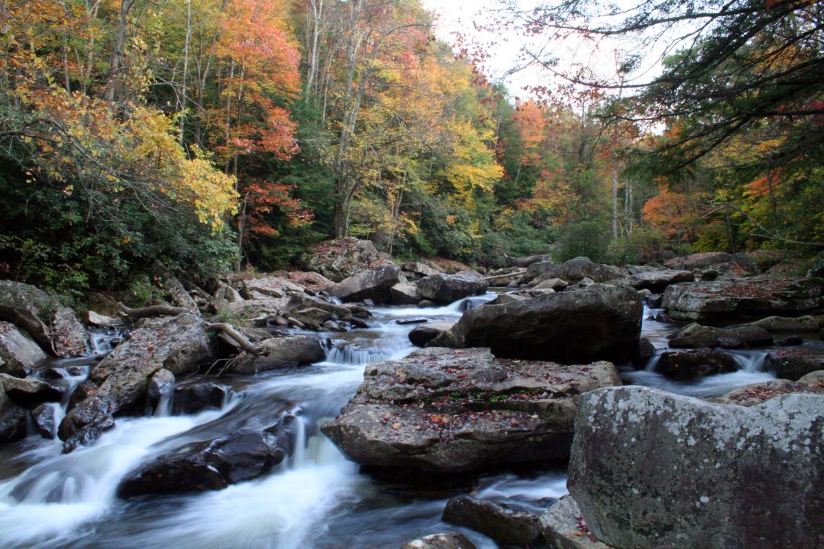 The Raven Brooke. Shanabrown-168996-albums-beautiful-scenes-pic1559-fall-creek-when-through-woods-forest