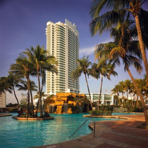  السياحة في ميامي Miami_palms