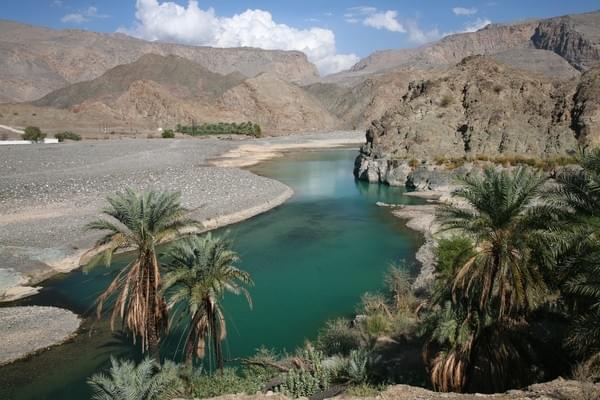 vos projets pour la nouvelle année ? 23-algerie