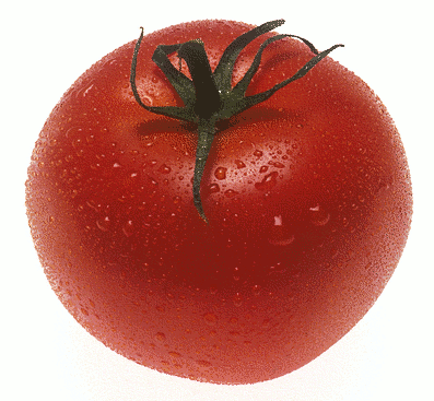 tomato Tomato