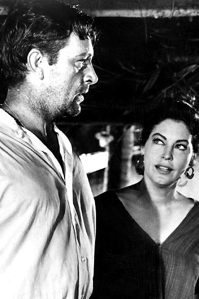 Richard Burton Nightof-the-iguana1