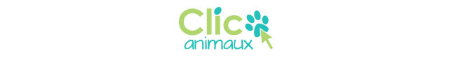 Chaîne de solidarité clic animaux - Page 14 Titre2