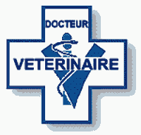 En images... - Page 4 Veterinaire