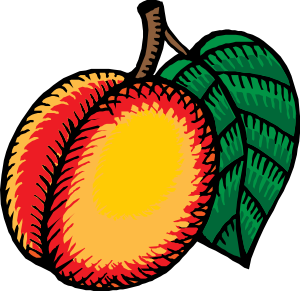 الخوخ  ... فوائد جمة 12456948951759774097johnny_automatic_nectarine.svg.med