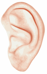 الحاسة التي لا تنام ... سبحان الخالق  12344047151156616159bionet_human_ear.svg.med