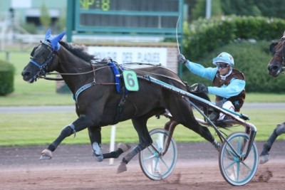 Trote: Los participantes del Grand Prix d'Amérique (Gr.I) 1551---save-the-quick-a-la-maniere-des-forts