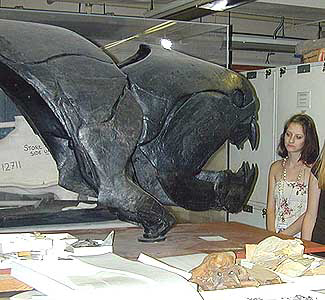 Dunkleosteus Dunkleosteus4