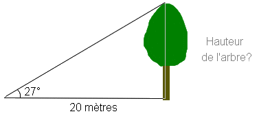 10. Le cosinus Arbre