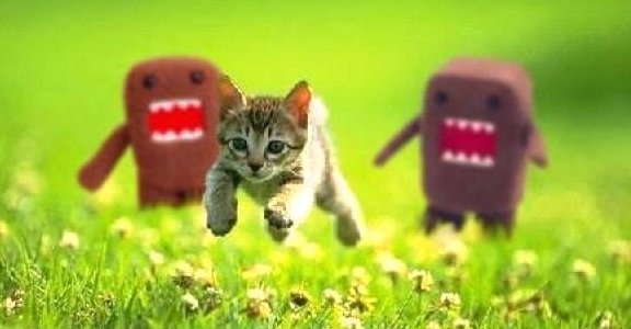 Server Maintance Kitten_running_away_from_domo_kun_creatures_of_japan_nhk_television