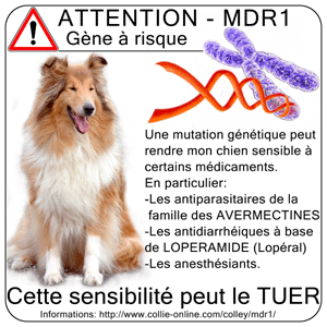 MDR 1: informations à lire! Etiquette_veterinaire