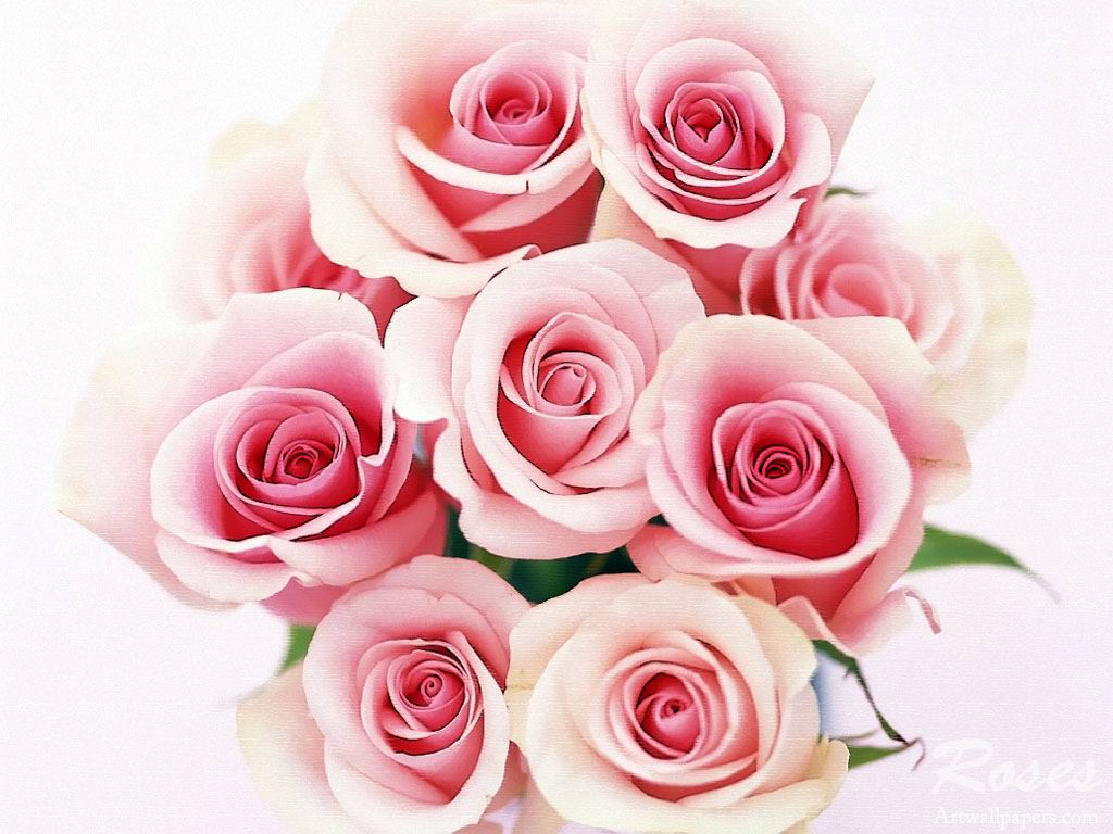 Happy Women's day!!! Rose04