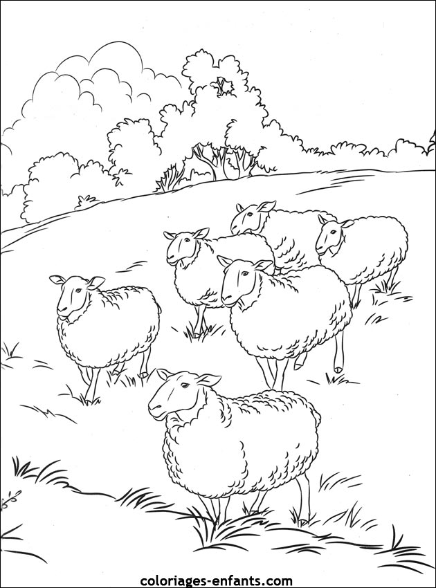 هيا لون خروف العيد Coloriages-moutons-14