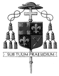Mgr Punt considère que les Apparitions de la Dame de Tous les Peuples sont surnaturelles DTP_sub_tuum_praesidium