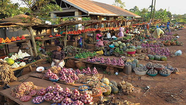 Uganda Uganda-produce-stands-at-market