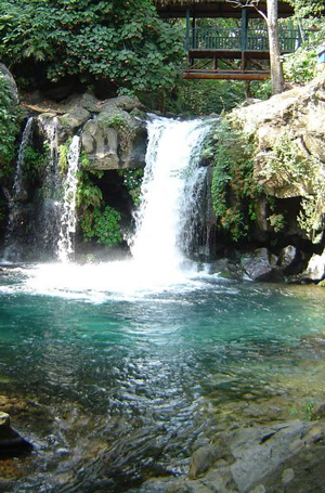 FORO ACTIVO LA FAMILIA MICHOACANA  Cascada