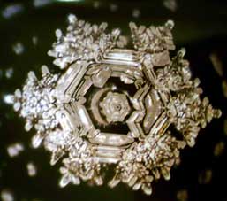 Mensajes del agua Masaru Emoto Cristal2