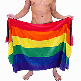 Les Drapeaux......... - Page 32 Gaypride