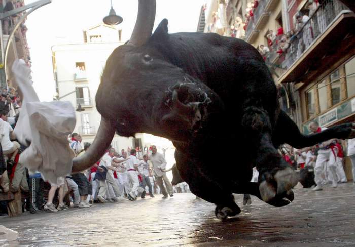 NOUVEAU JEU ^^ - L'IMAGE INSOLITE... Animaux-taureau-san-fermin