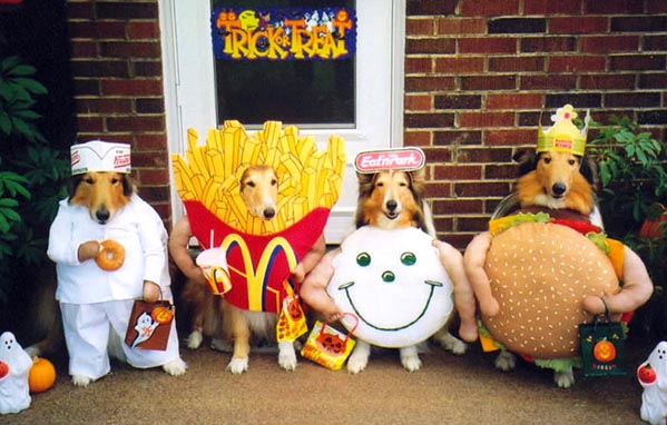 Mon chien fait du cosplay ! Chien-restaurant