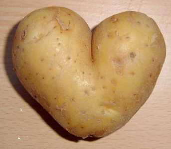 Void Shield Generator  Potato_heart