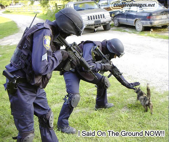 More Riot animals Funny_08