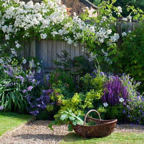 15 Of The Most Beautiful Trees Ever Photographed English-garden