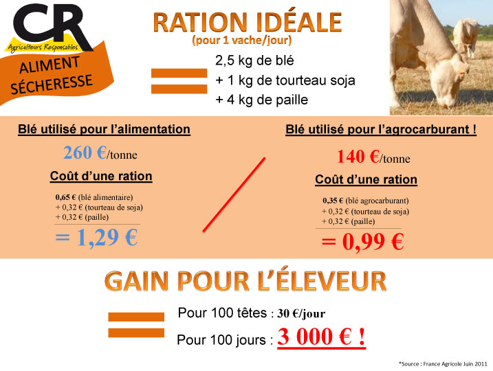 "Le scandale du Blé éthanol" Scandale-du-ble-ethanol