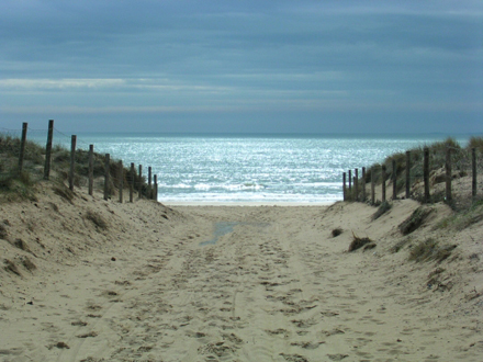 Week end du 27-28/02 Plage-mer-liberte-vendee-sa