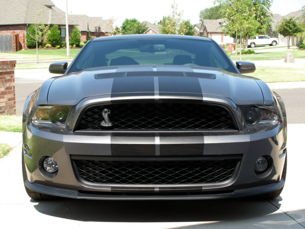 1st Time Mustang Owner Shelby_front