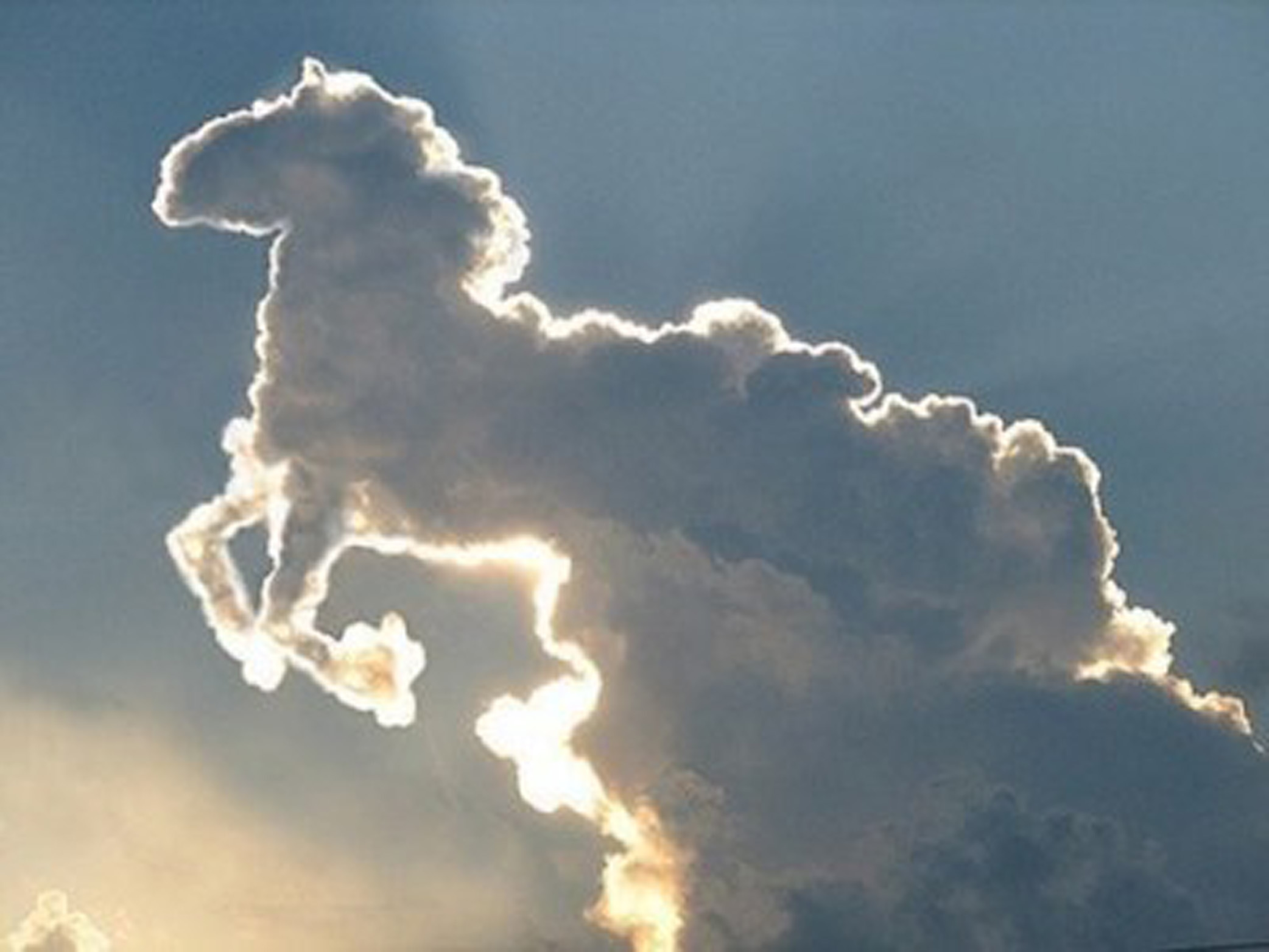 SASSAGOULA SPRINGS se fue a volar al cielo Nube-caballo