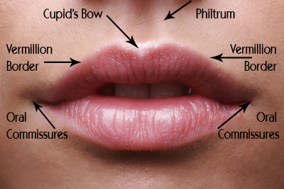 Open Mouth Slider Bigstockphoto_Lips888_30352