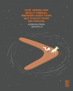 Los perros que regresaron de un paseo por el espacio Belka-strelka-243x300