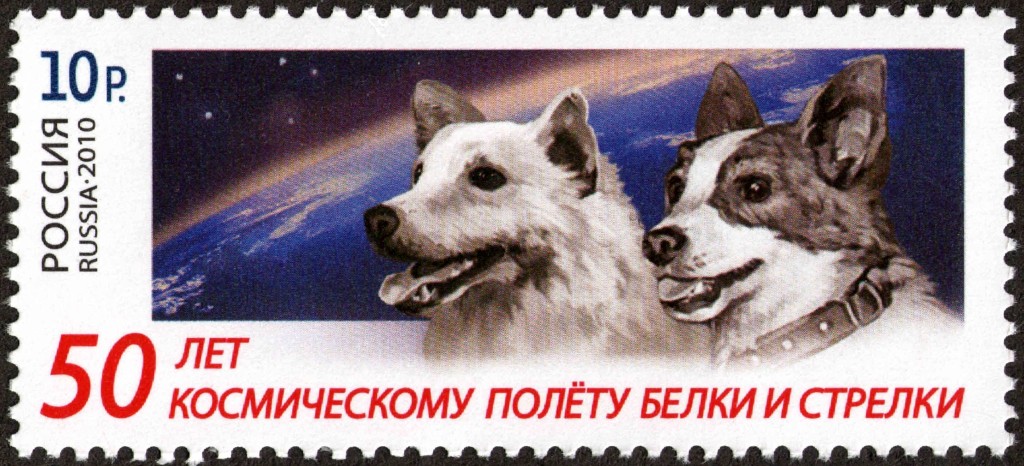 Los perros que regresaron de un paseo por el espacio Sello-belka-strelka-1024x466