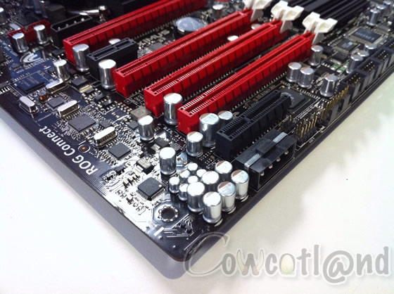 [Cowcotland] Encore plus de photos de la Maximus 4 Extreme d'Asus  3