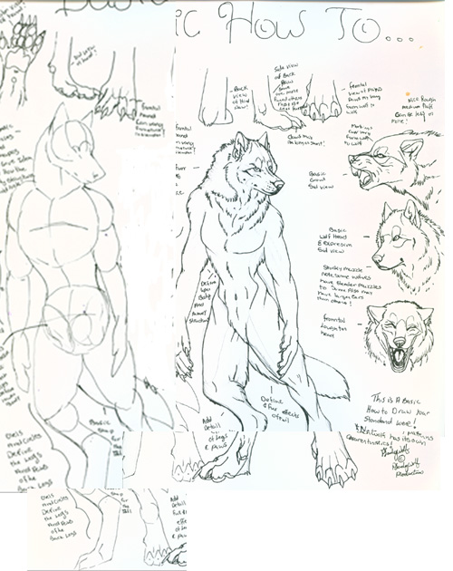 How to Draw Werewolves by Pladywolf Art_tut