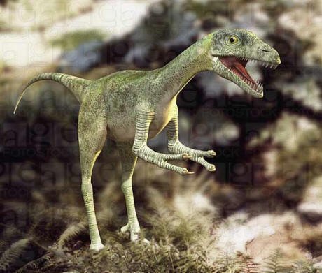 Taller prehistorico  (mamiferos extintos, dinosarios y cosas que esten extintas) - Página 2 Compsognathus