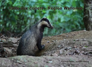 Halte aux collets  arrtoir en Wallonie Carte_rectos-1